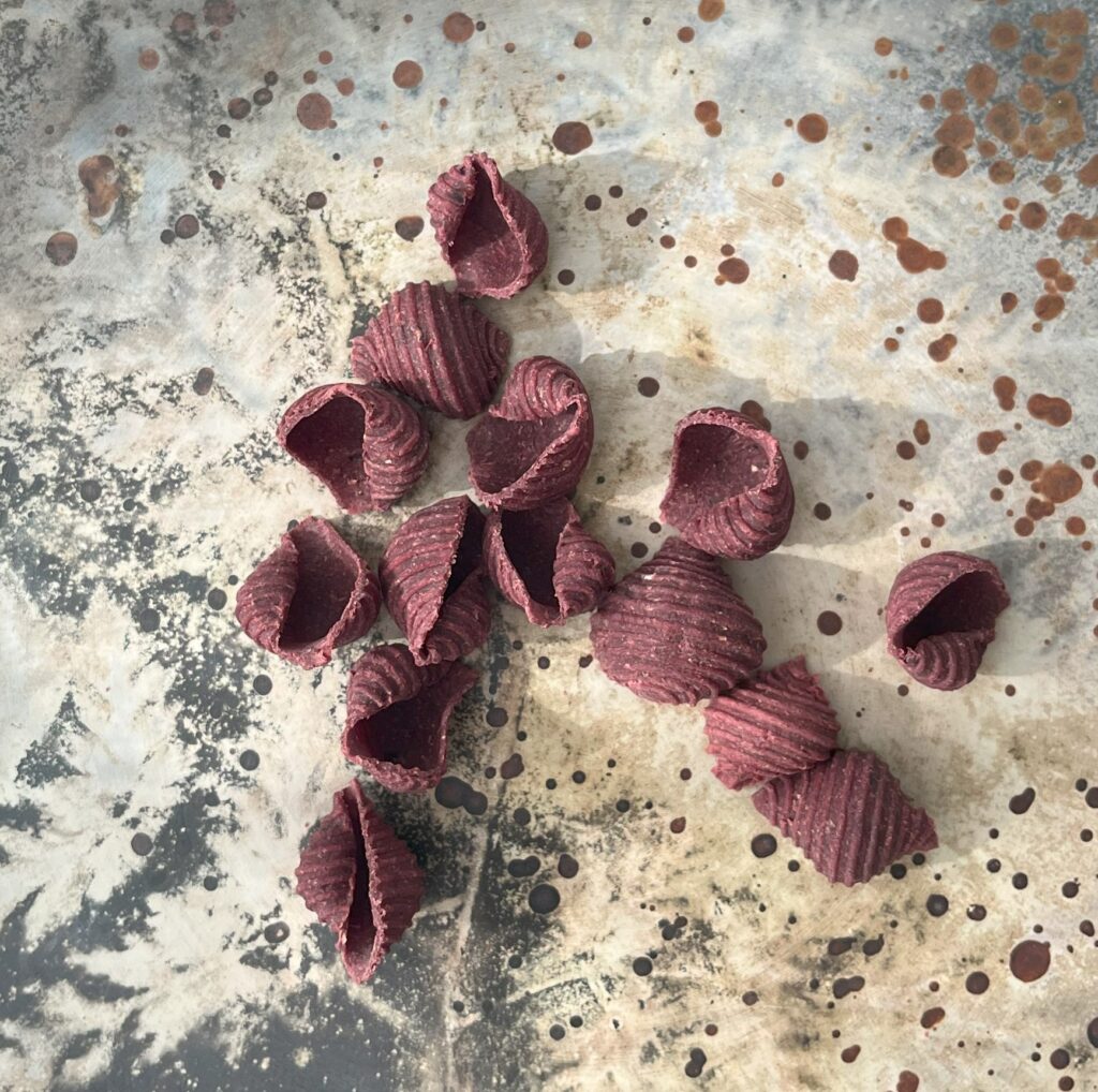 Torr pasta - Rödbetsconchiglie rigati