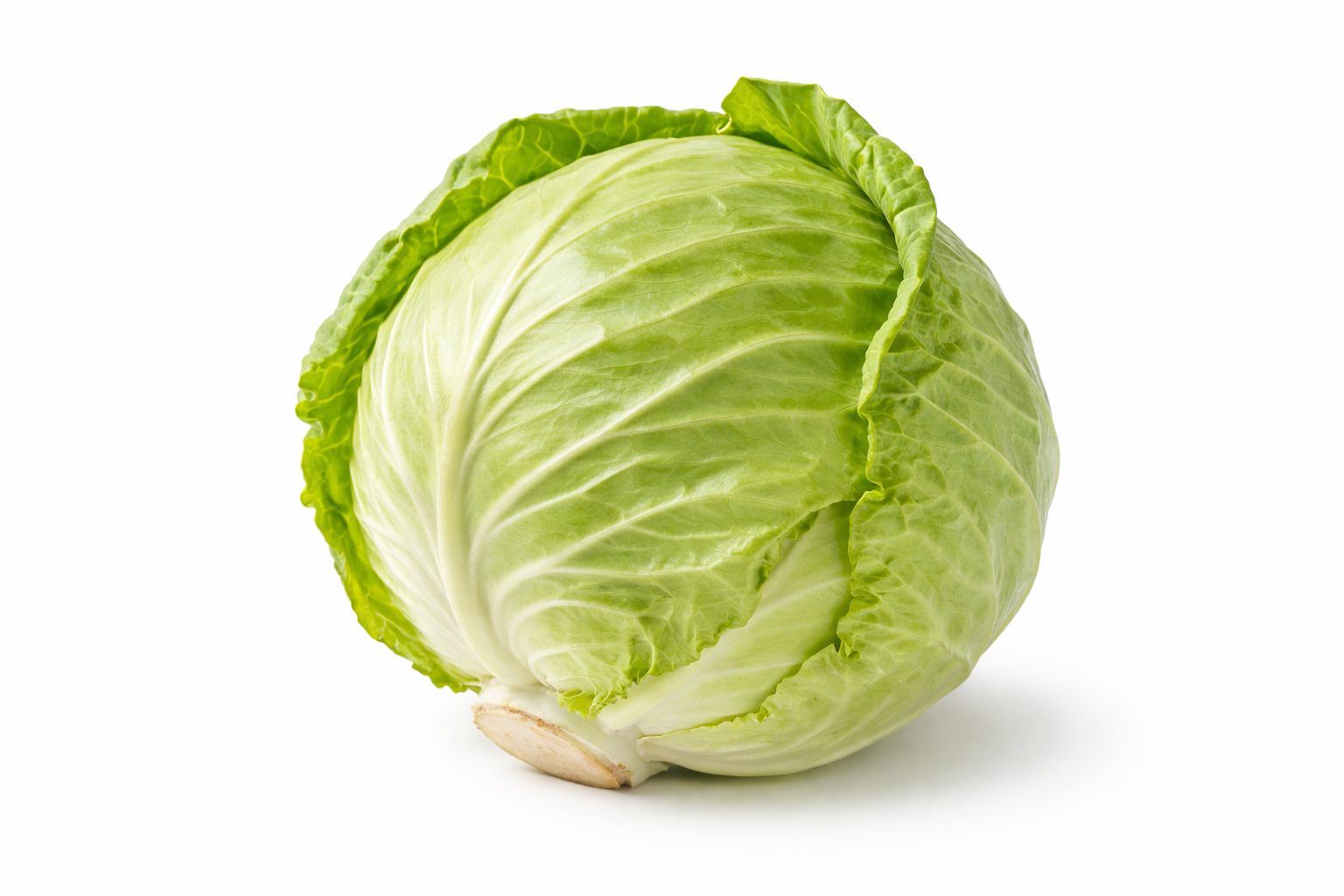 Färsk, KRAV-märkt vitkål
